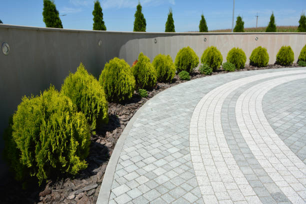 Best Cobblestone Driveway Pavers  in Millsboro, DE